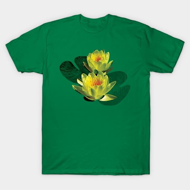 Water Lilies - Two Yellow Water Lilies T-Shirt by SusanSavad